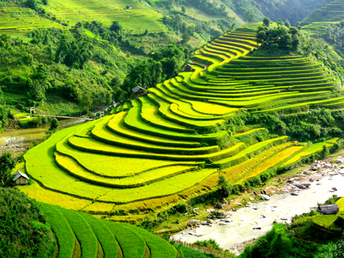 Vietnam’s Most Beautiful Rice Terraces: Mu Cang Chai